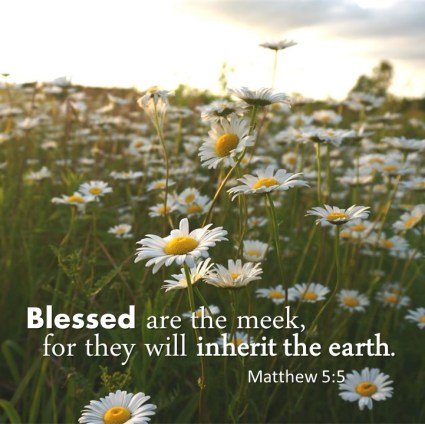Blessed are the meek